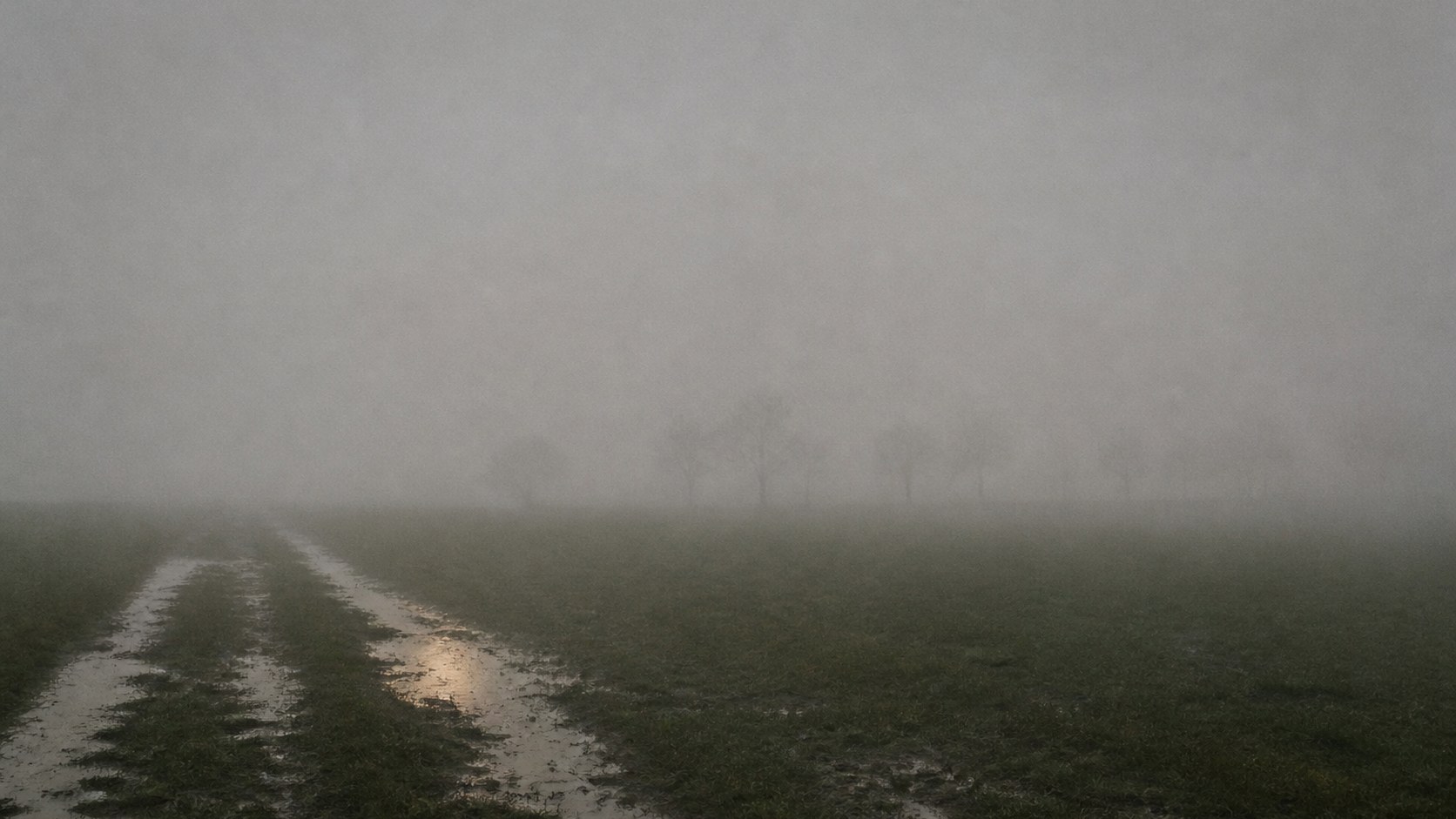 Nebelverhangene Voralpenlandschaft ohne erkennbaren Horizont
