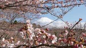 Mount Fuji