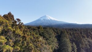 Fuji 2 Japan 